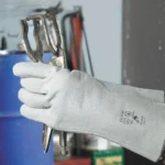 Cerva Sponsa